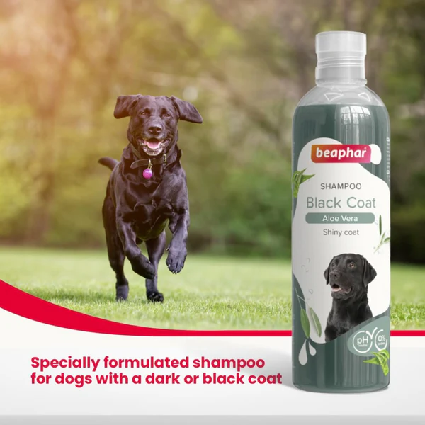 Beaphar Aleo Vera & Herbal Black Coat Shampoo for Dogs 250 Ml - Image 8