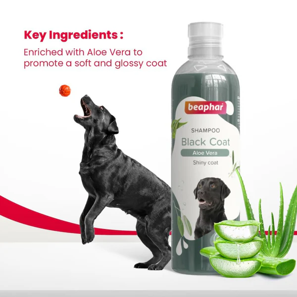 Beaphar Aleo Vera & Herbal Black Coat Shampoo for Dogs 250 Ml - Image 7