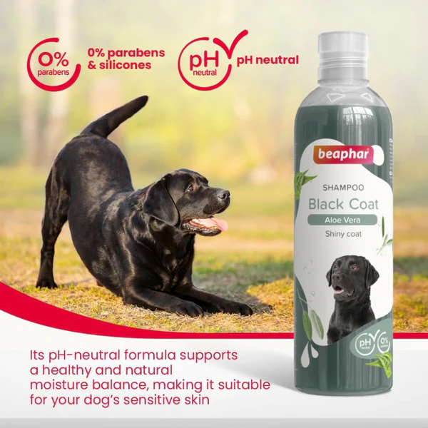 Beaphar Aleo Vera & Herbal Black Coat Shampoo for Dogs 250 Ml - Image 6