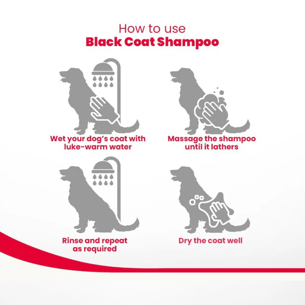 Beaphar Aleo Vera & Herbal Black Coat Shampoo for Dogs 250 Ml - Image 5