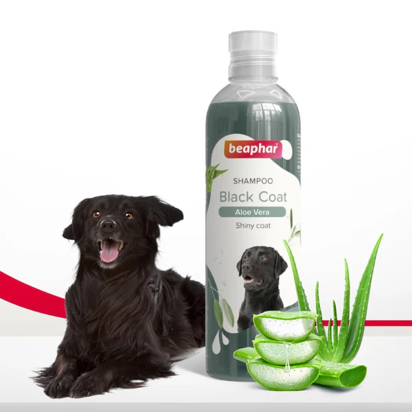 Beaphar Aleo Vera & Herbal Black Coat Shampoo for Dogs 250 Ml - Image 2