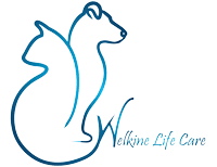 Deecore Tablets 60 Chewable Tablets Pet Health Supplements