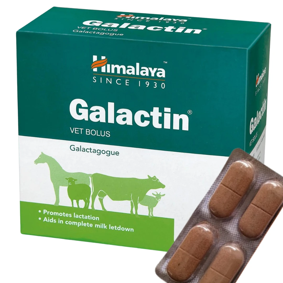 Galactin Vet Bolus 10x4 Bolus(Pack of 40 Bolus)