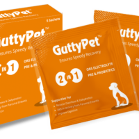 Gutty Pet Sachet Probiotic Supplement for Dogs and Cats Pack of 5 Sachets