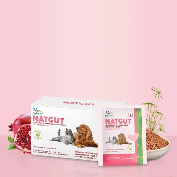 Natgut Granules 4.2 GMS Sachet Supplement for Cats and Dogs(Pack of 30 Sachets)