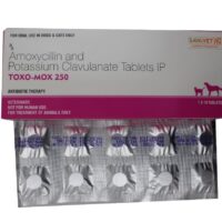 Toxo-Mox 250 Mg Tablet for Pets