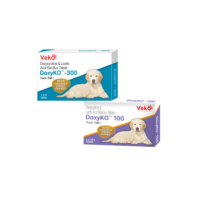 DoxyKO 300 mg – Doxycycline & lactic acid bacillus Tablet for Dogs 10 Tablets