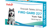 Firo-Gard Pro 227 Mg 6 Tablets