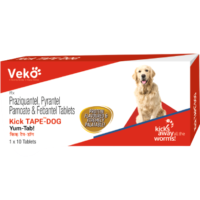 Kick Tape Dog Deworming Tablet 10 Tablets