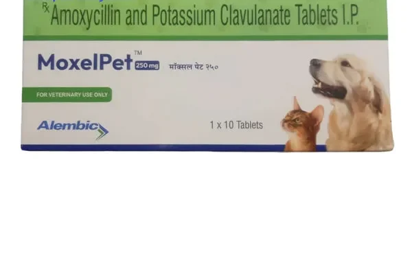 MoxelPet 250mg (Amoxycillin & Potassium Clavulanate) Tablet for Dogs and Cats 10 Tablets